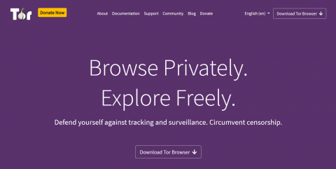 private anonymous browser tor гидра