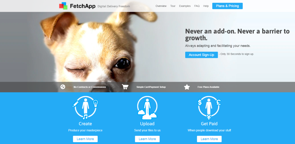 FetchApp homepage