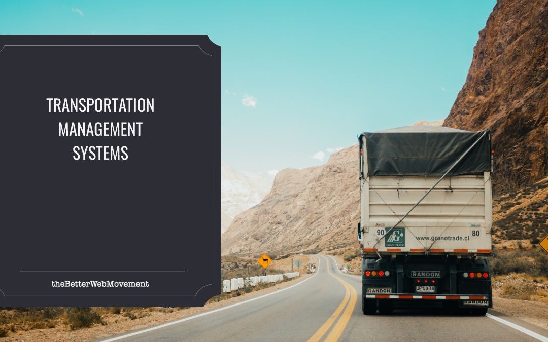 Transportation Management System: Future Trends and Perspectives