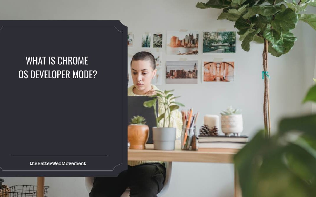 What is Chrome OS Developer Mode?