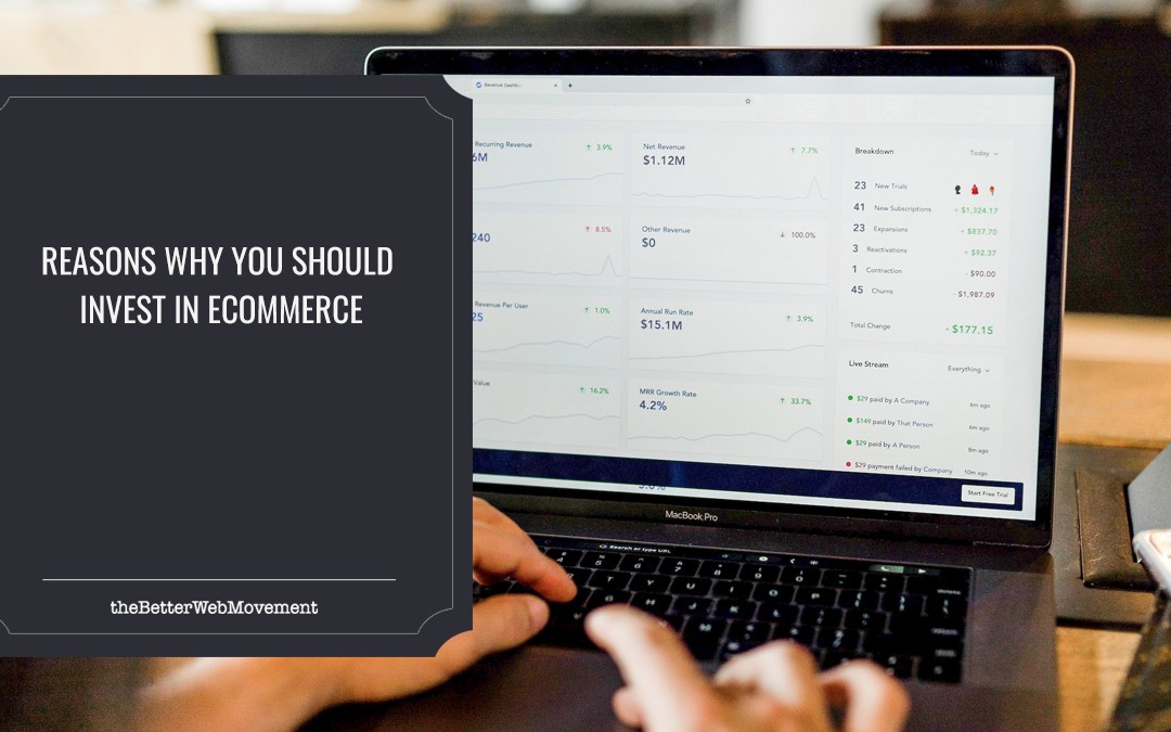 Reasons Why You Should Invest in Ecommerce